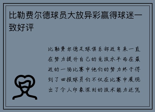 比勒费尔德球员大放异彩赢得球迷一致好评